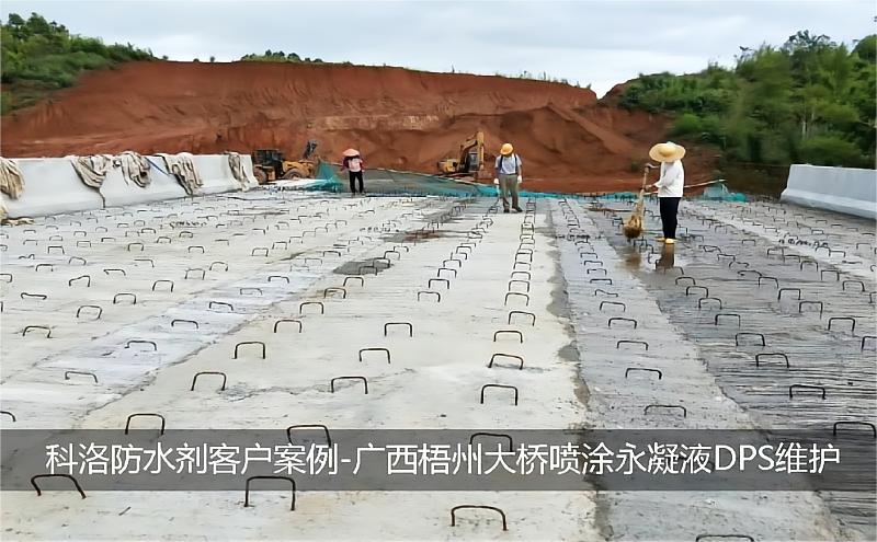 广西梧州大桥维护实践：水性渗透结晶型无机防水材料破解混凝土防护难题