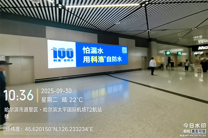 2025101489798699.png 哈尔滨机场.png